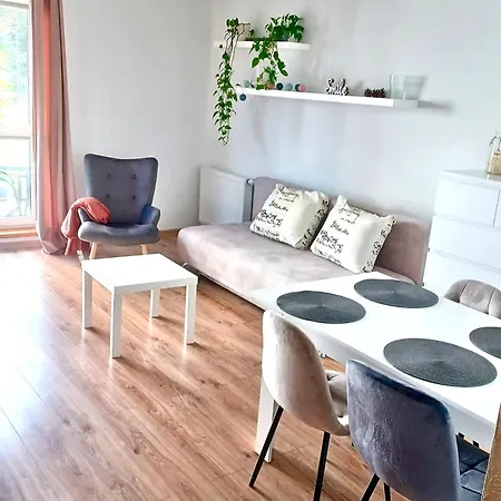 Apartament-gdansk Piekarnicza 公寓 *